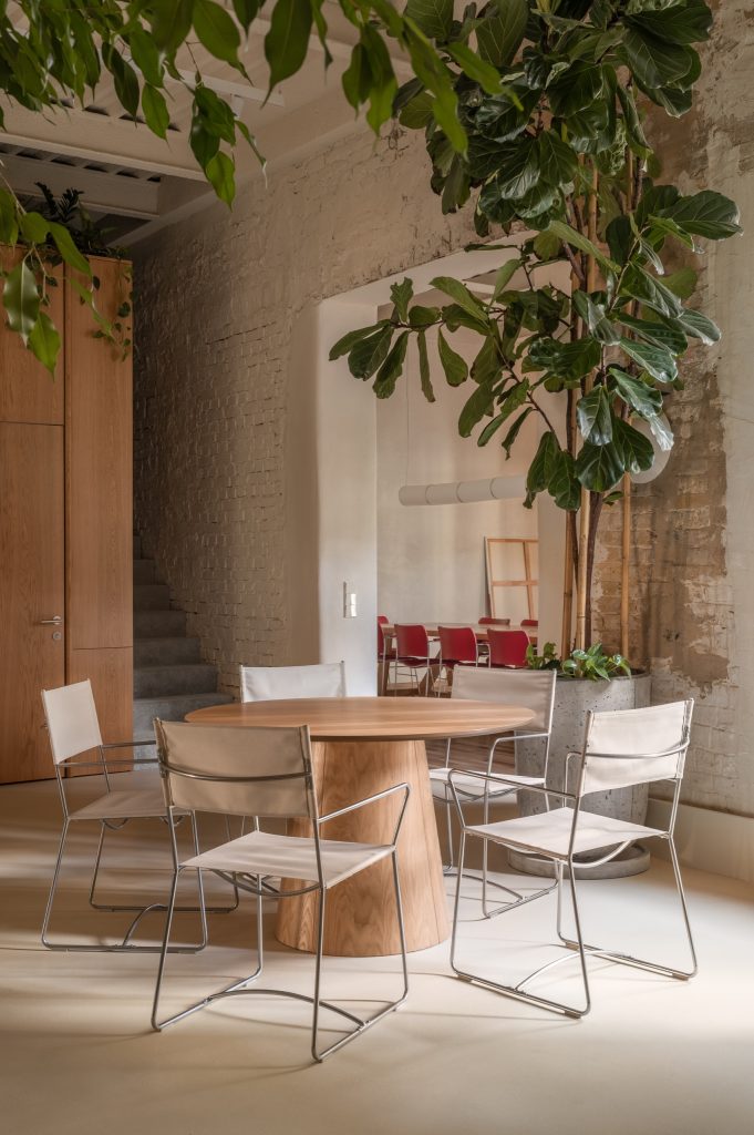 Round oak table with white sling chairs beneath a large fiddle-leaf fig, red chairs and a meeting area beyond