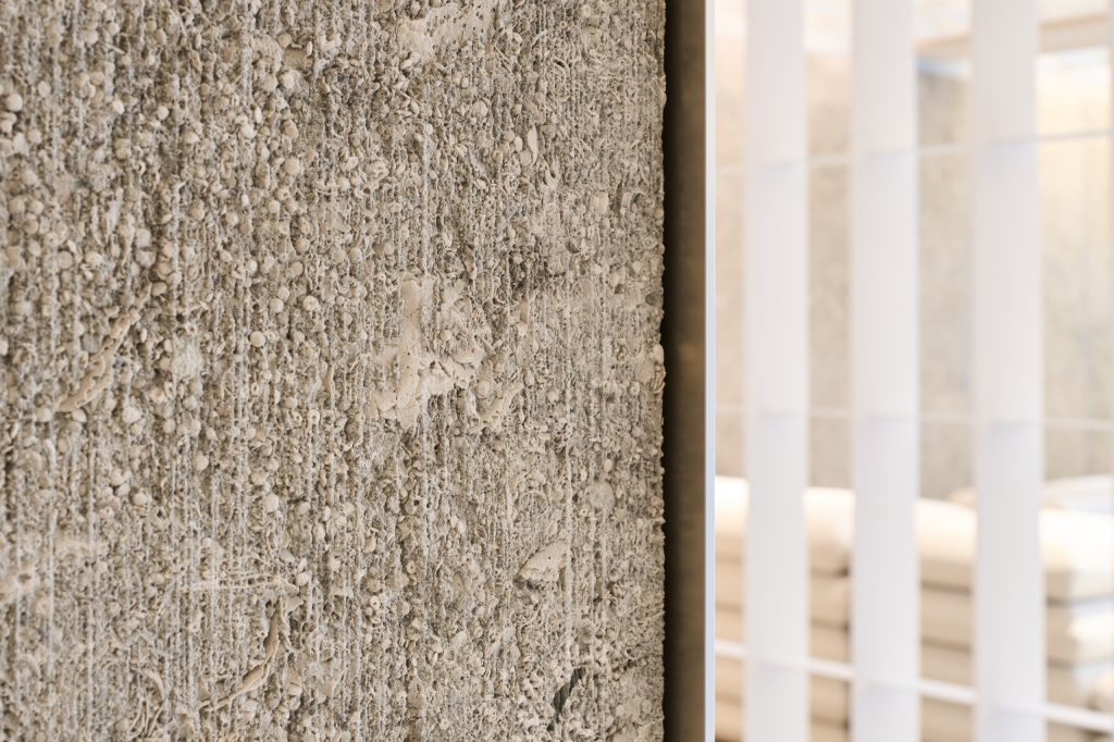 Close view of sandblasted shell limestone, fossils legible in the surface