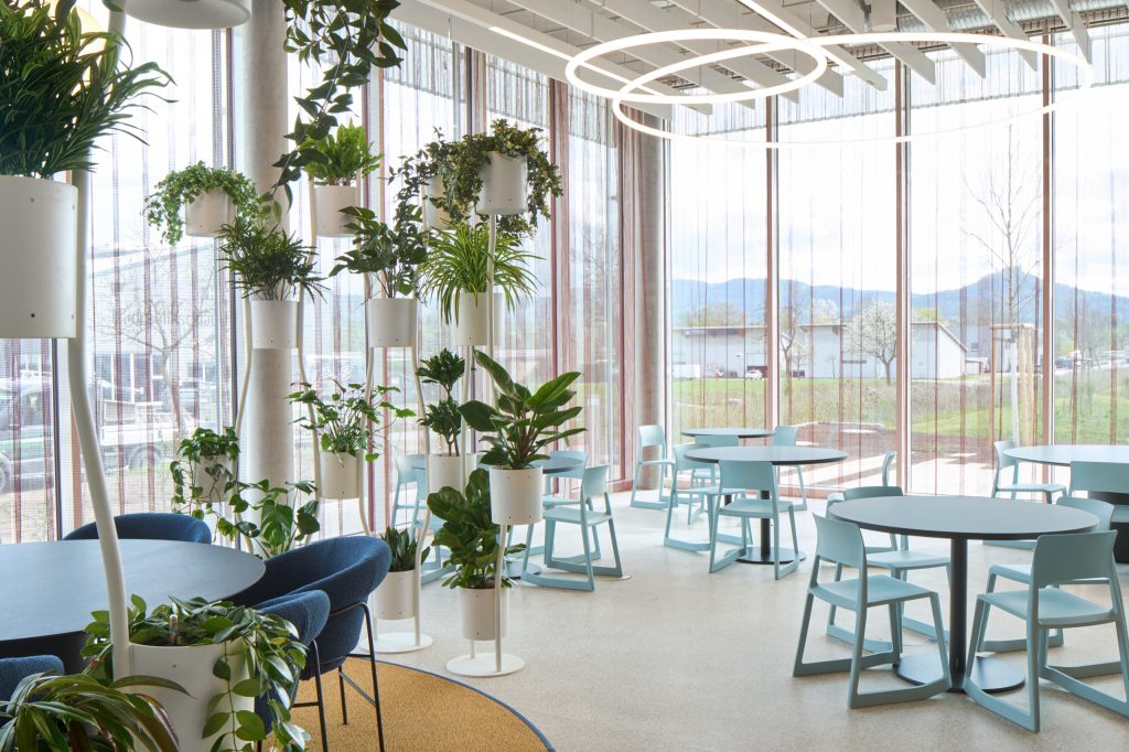 Restaurant tables in pale blue and navy beside full-height glazing, white plant stands and a ring pendant, hills beyond