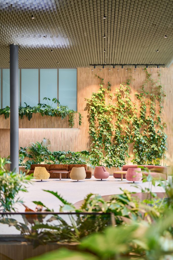 Lounge with swivel chairs in ochre and rose beneath a sculpted acoustic ceiling, climbers scaling the timber-slat wall