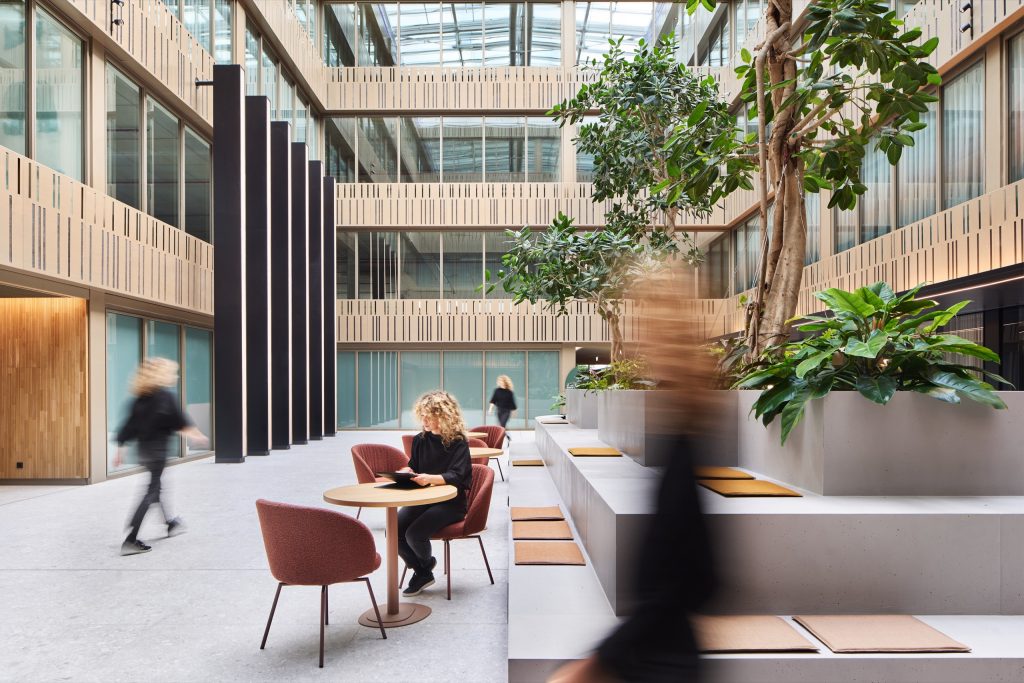 Touchdown tables and a stepped concrete platform beneath luminous columns, a mature fig rising from the planting