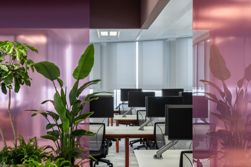 Desks with monitor arms seen between rose-tinted glass partitions and dense planting
