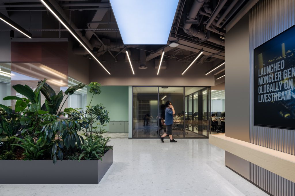 Corridor with planting and a work showcase screen, glass meeting rooms beyond, beneath a sky-blue lightbox