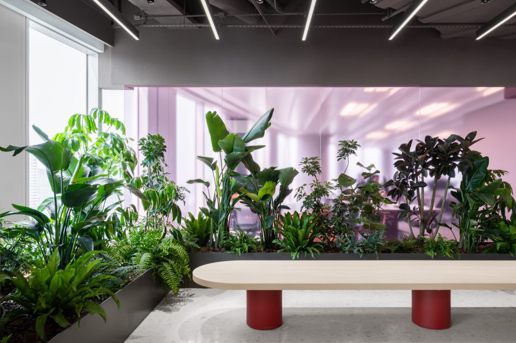Bench table on red cylindrical legs beside a deep planter, against rose-tinted glass